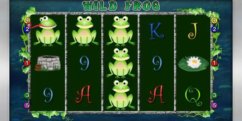 Đôi nét tổng quan về nội dung game Chú ếch hoang dã